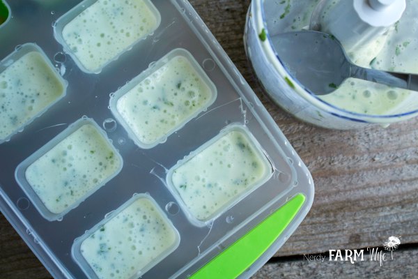 natural fresh breath treats for dogs being spooned into ice tray