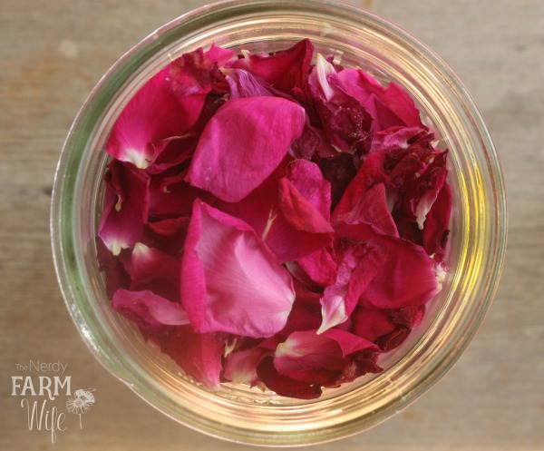 Rose Petals Collected in a glass jar on a wooden background