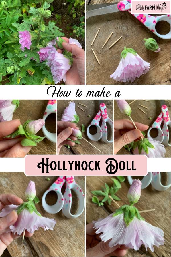 photo grid showing the steps how to make a hollyhock doll