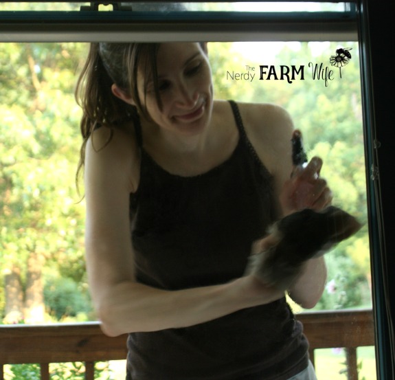 Lavender Vinegar as a Window Cleaner