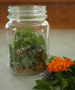 a jar with assorted fresh herbs