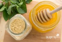 14 Things to Make With Ground Ginger