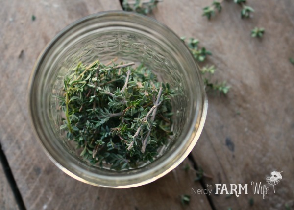 thyme in jar for herbal infused vinegar