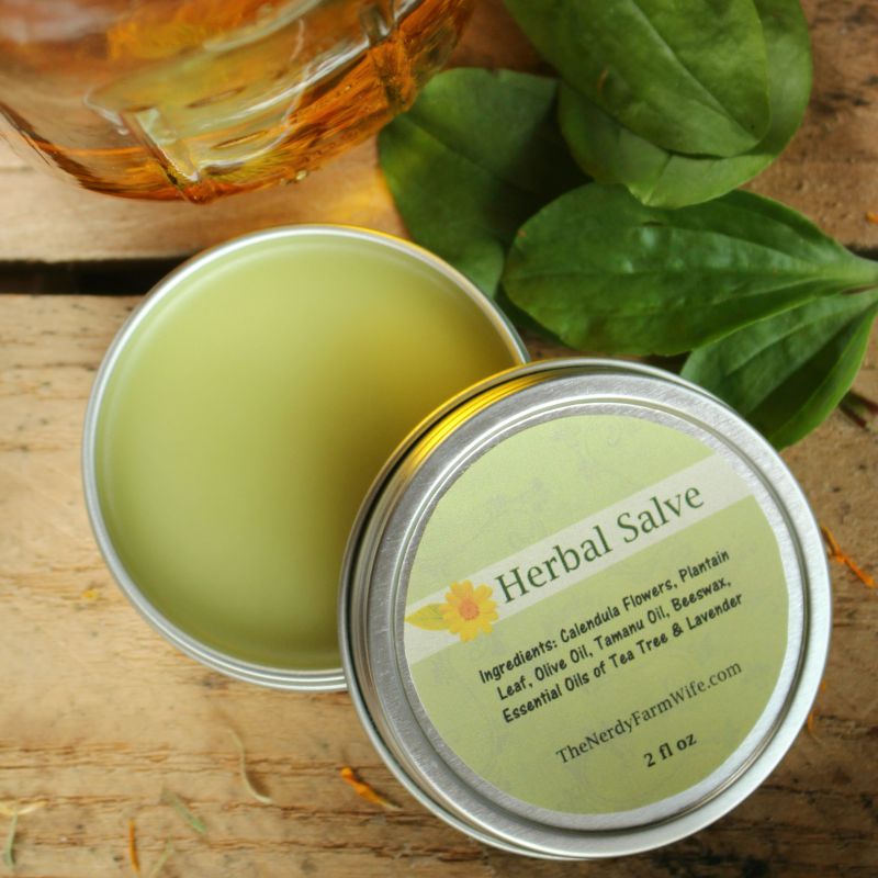 Herbal Healing Salve Recipe