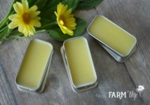 plantain lip balm in lip balm slider tins