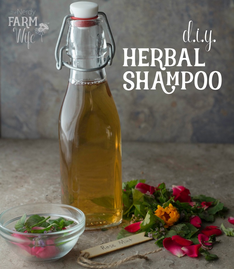 Homemade Herbal Shampoo