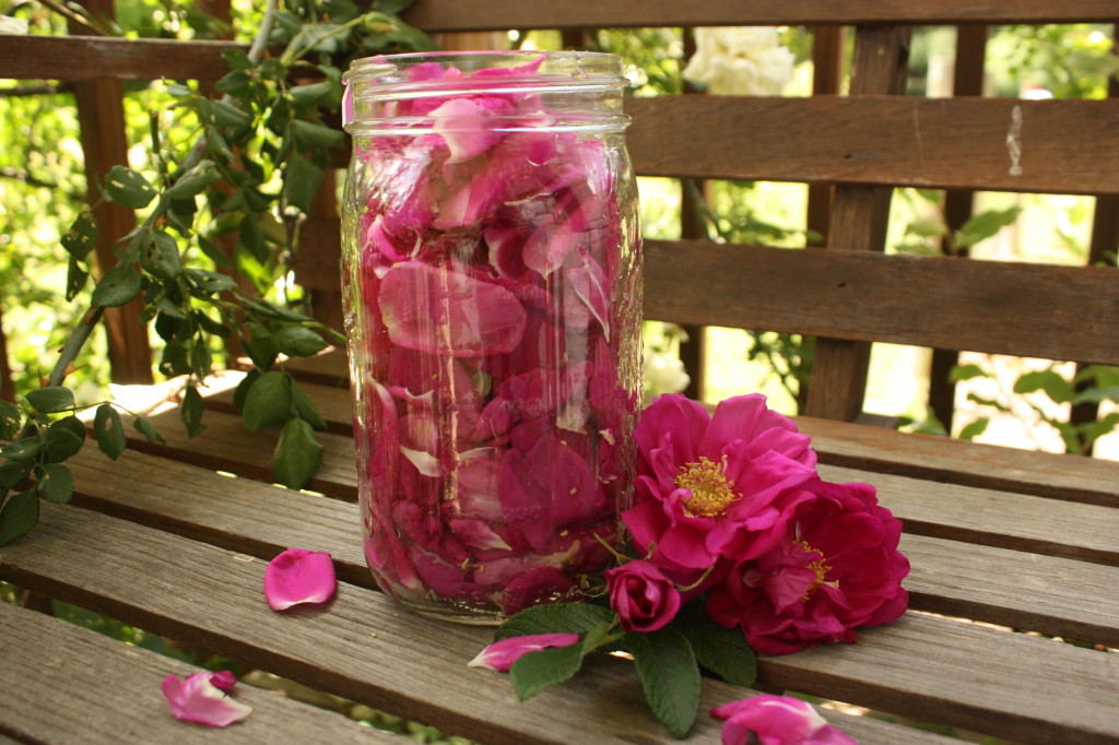 Fresh Rose Petals
