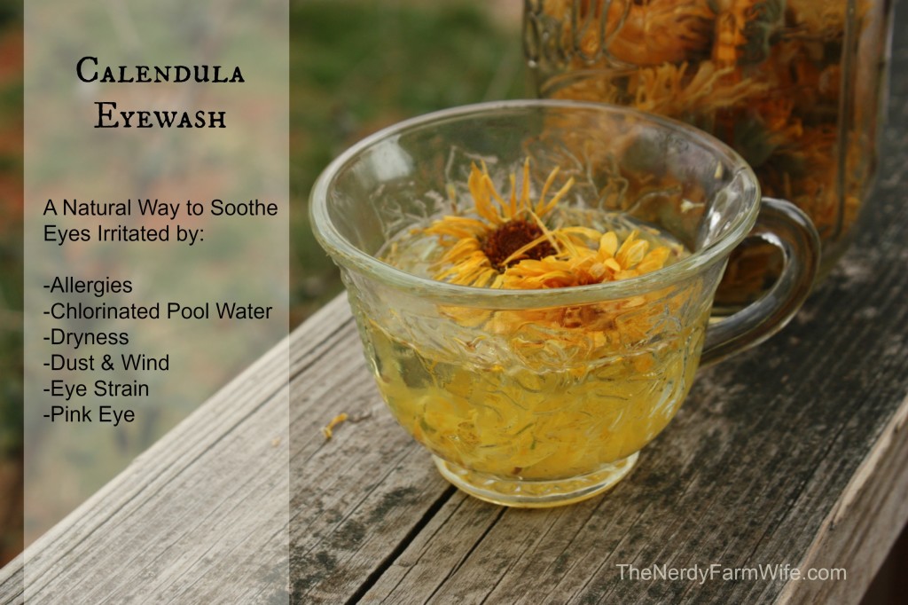 Calendula Eyewash Natural Remedy for Irritated Eyes