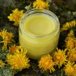 Dandelion Salve Recipe