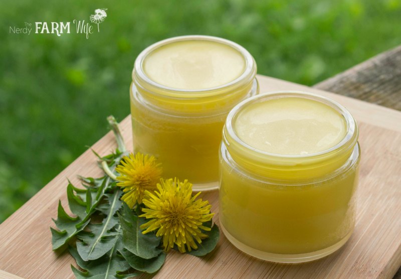 Dandelion Salve Recipe {for sore muscles & chapped skin}