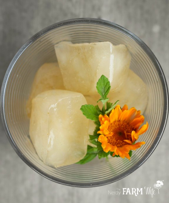 Frozen Calendula Tea Cubes in a glass with a fresh calendula flower