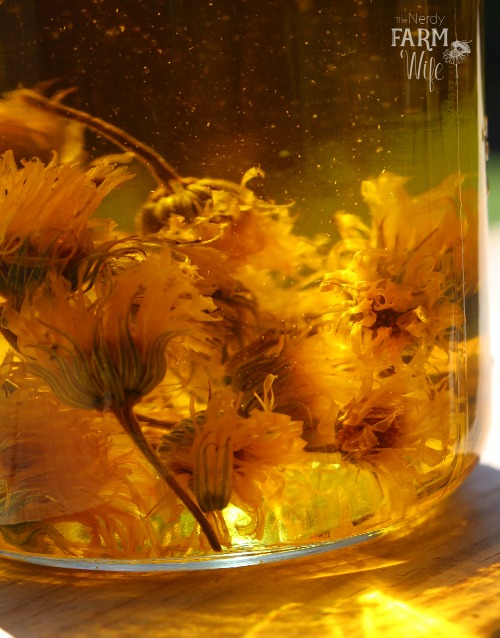 Whole, Dried Calendula Flowers