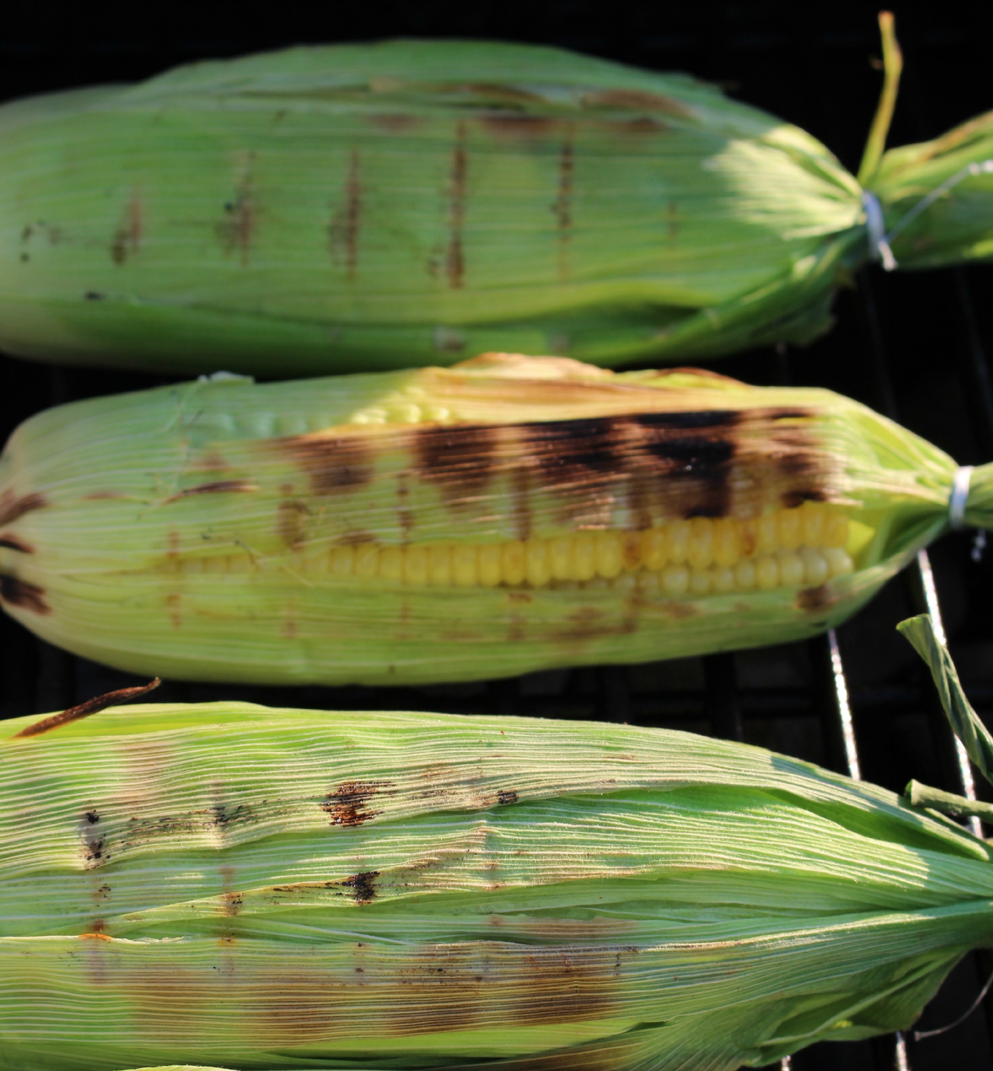 Grilled Sweet Corn with Fresh Herbs