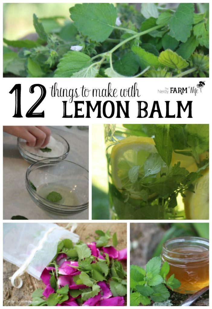 12 Things to Make With Lemon Balm