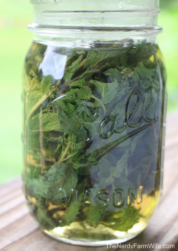 Mint Tea Infusion