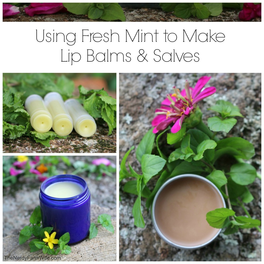 Using Fresh Mint to Make Lip Balm & Salve