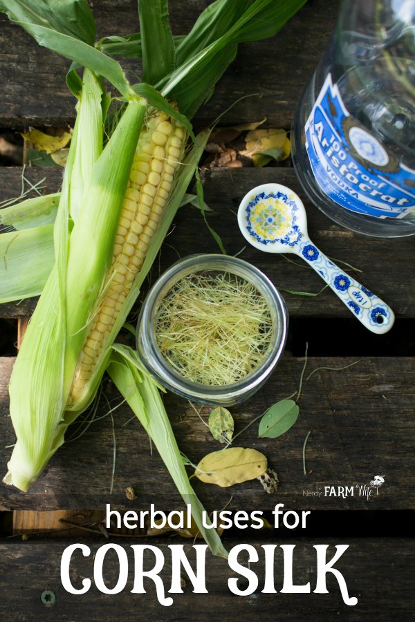 are corn husks bad for dogs