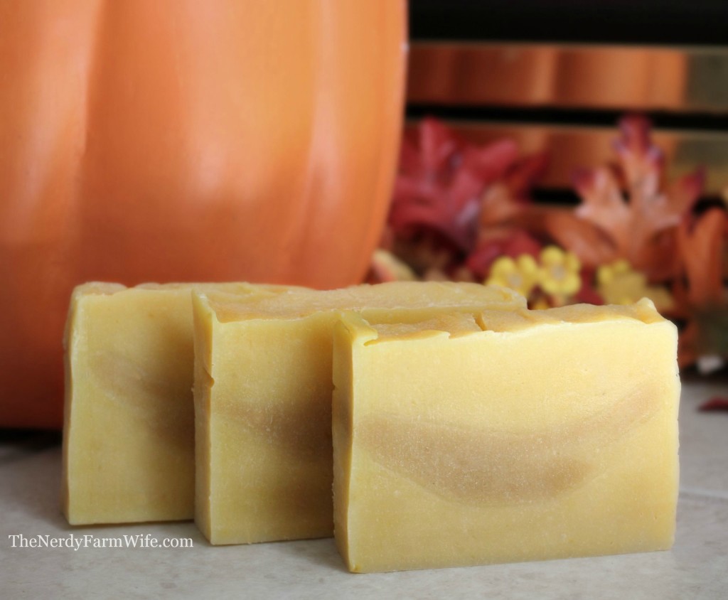 Homemade Pumpkin Soap | Most-Liked Homemade Soap Recipes For Frugal Homesteaders