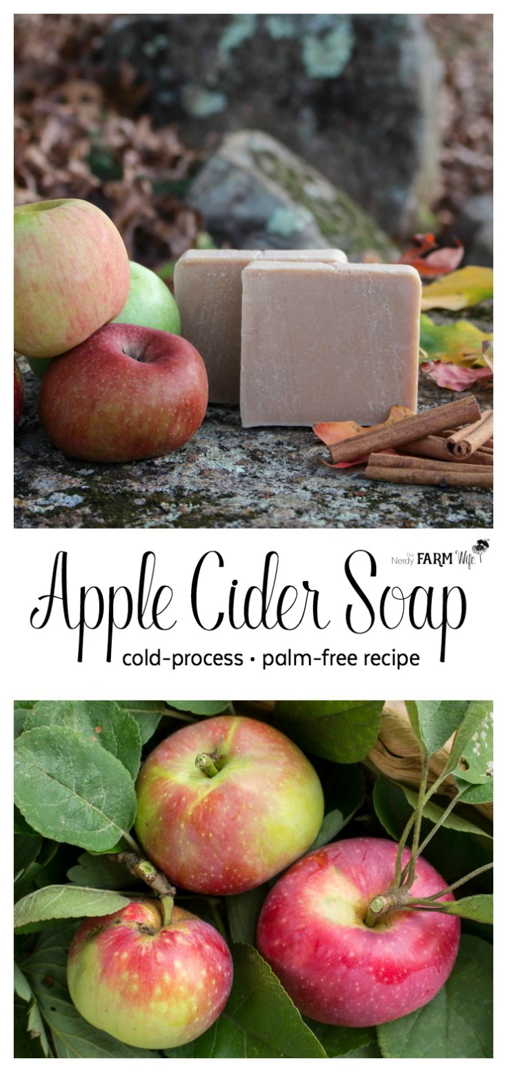 How to Make Apple Cider Soap