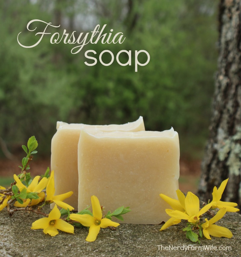 Forsythia Cold Process Soap