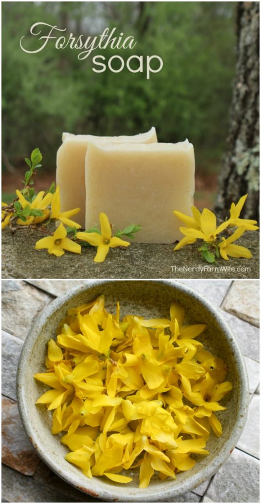 bars of soap and bowl of forsythia flowers