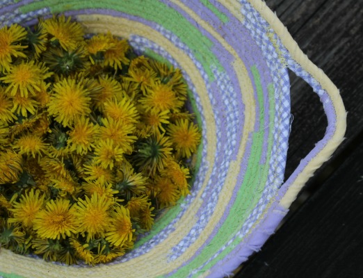 dandelions in a basket