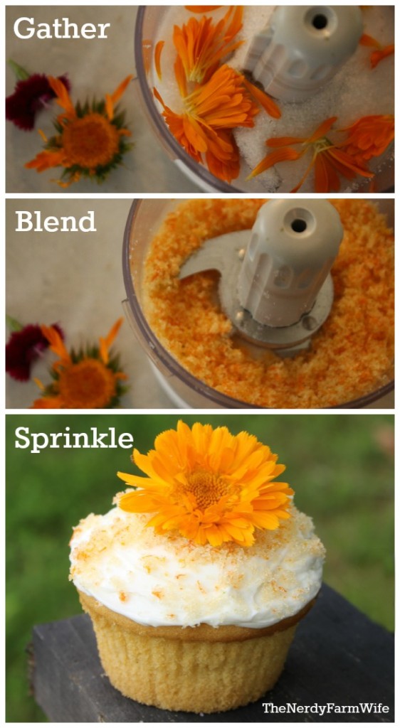 How to make naturally colored decorating sugar with edible flowers and cane sugar. (If you're sugar free, use coconut flakes instead.)