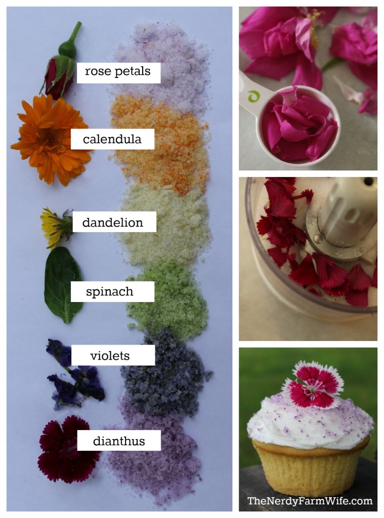 How to make naturally colored decorating sugar with edible flowers and cane sugar. (If you're sugar free - use coconut flakes instead.)