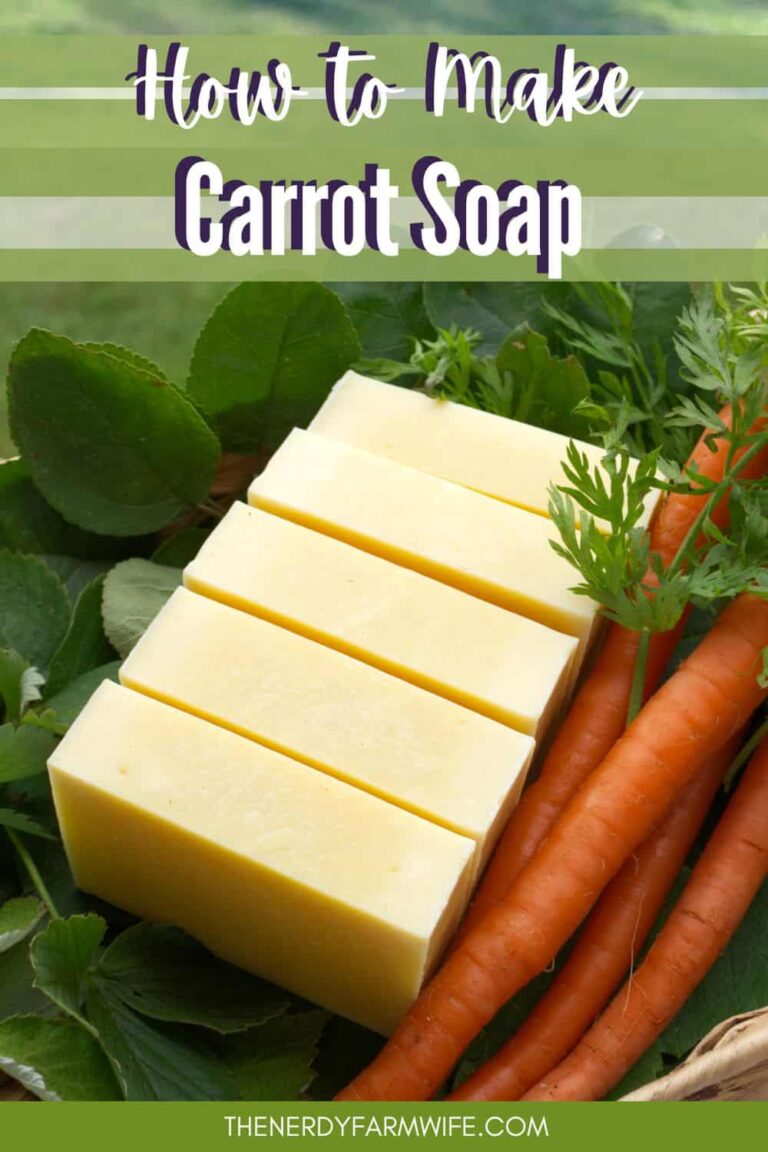 bars of homemade carrot soap made with the cold process method