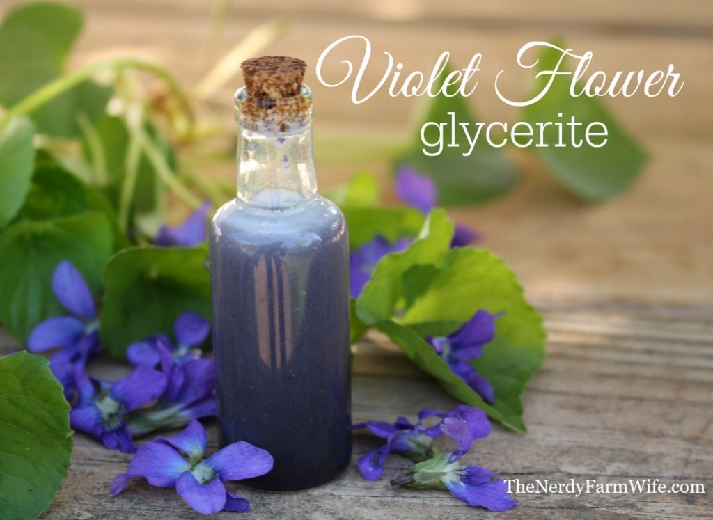 Violet Essential Oil: 6 Amazing Benefits and Uses