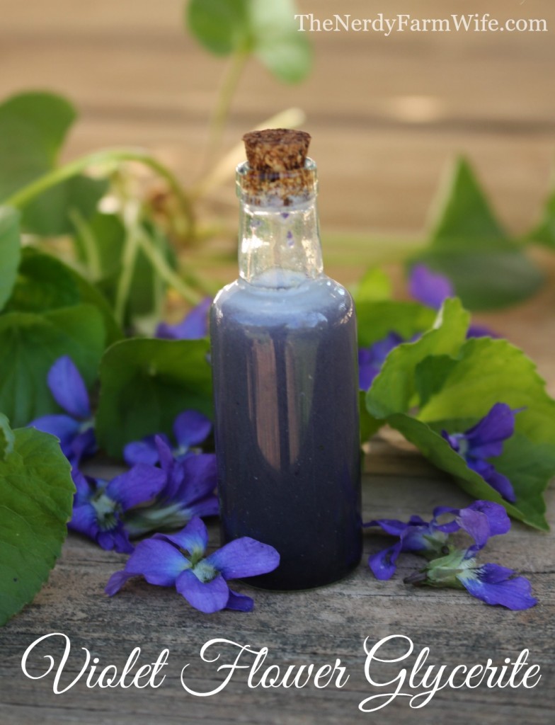 Violet Flower Glycerite