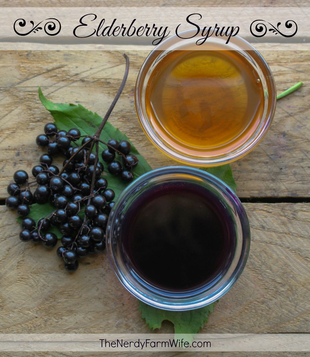 Homemade Elderberry Syrup