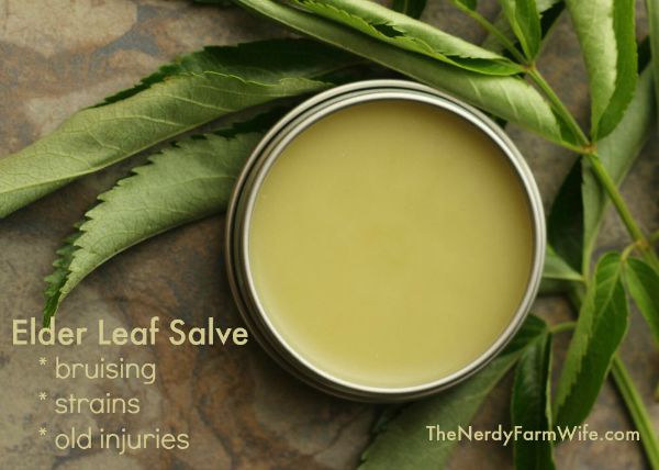 How to Make Salve From Elder Leaves for Bruising, Strains and Old Injuries