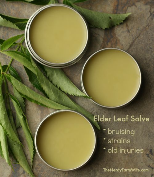 Elder Leaf Salve