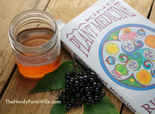 Making Elderberry Syrup from Raw Honey and Fresh Elderberries