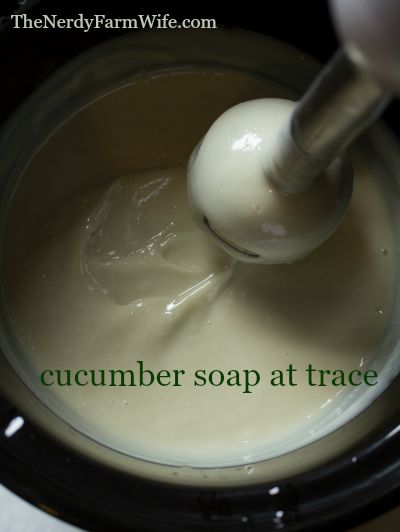 https://thenerdyfarmwife.com/wp-content/uploads/2015/09/cucumber-soap-at-trace-400.jpg