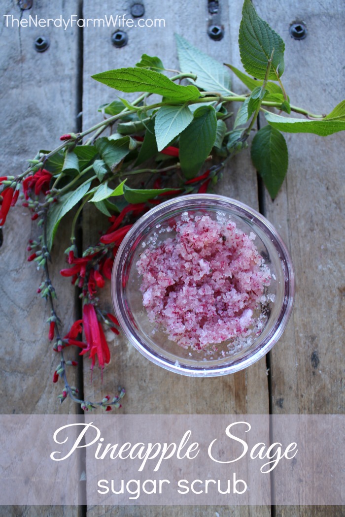 Pineapple Sage Sugar Scrub Recipe 700