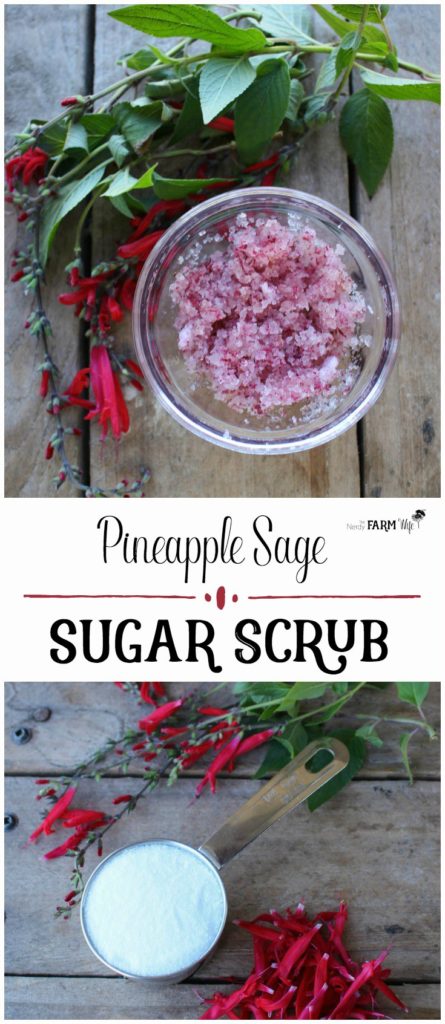 DIY Pineapple Sage Sugar Scrub - for naturally beautiful and smooth skin