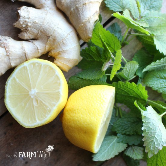 fresh lemons, ginger root, and lemon balm leaves