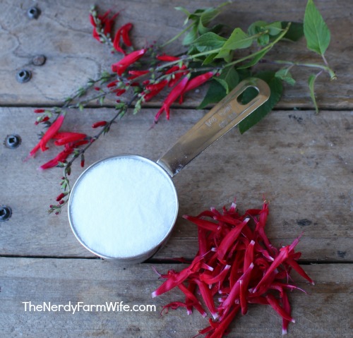 pineapple sage flowers plus cane sugar