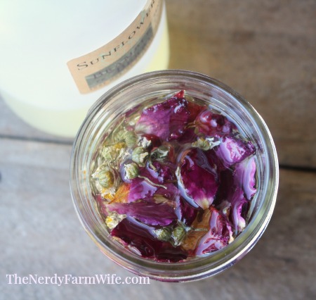 chamomile and roses infusing in sunflower oil