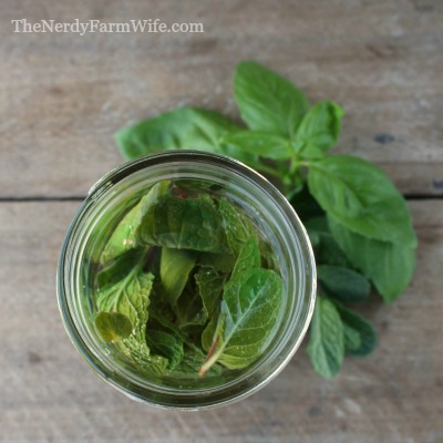 Basil Mint Liniment