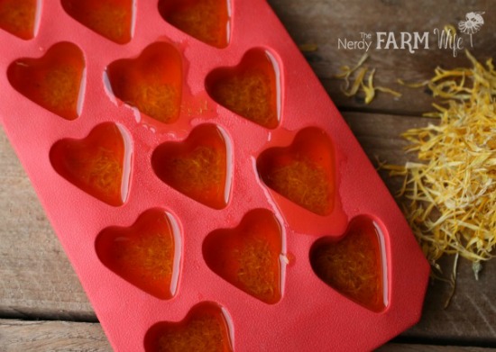 Calendula Bath Melts Poured Into Mold