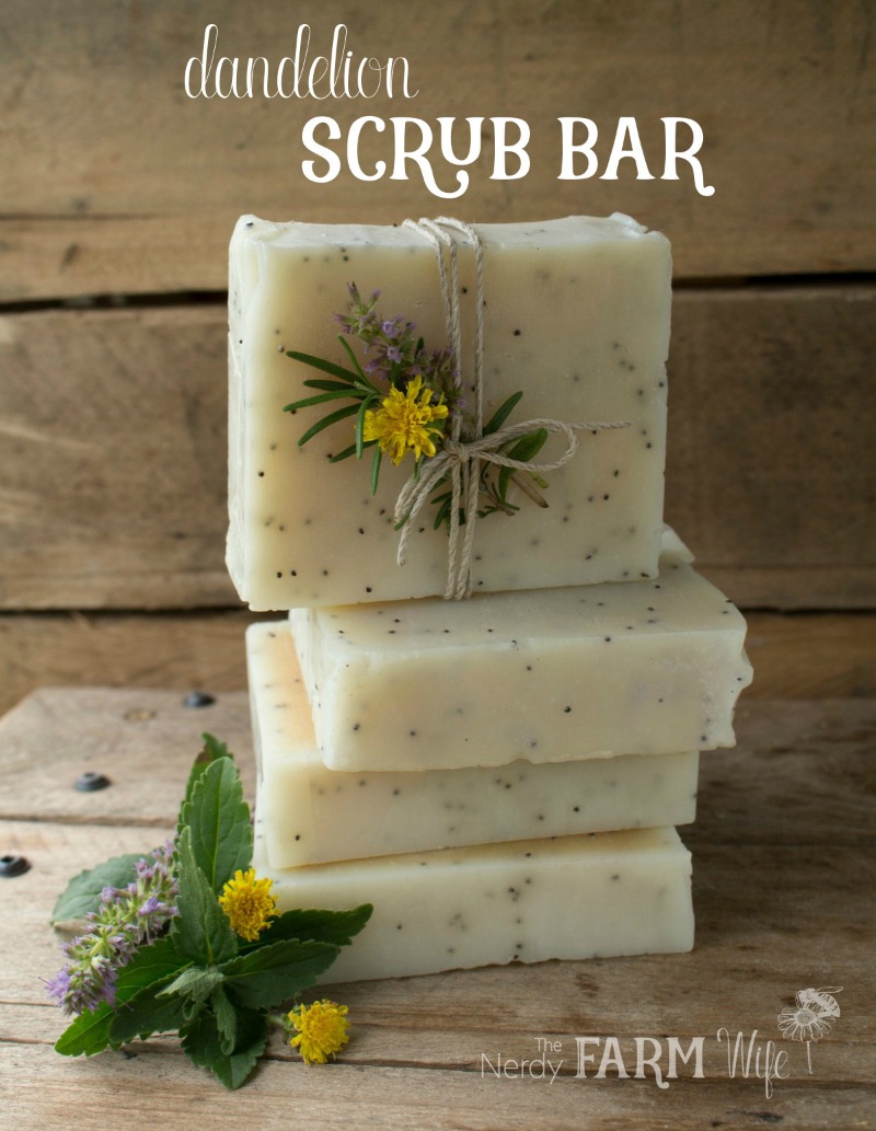 Gardeners Exfoliating Hand Soap Scrub