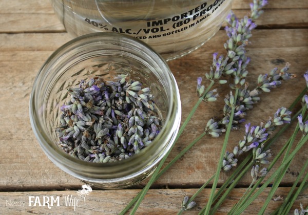 How to Make a Lavender Tincture