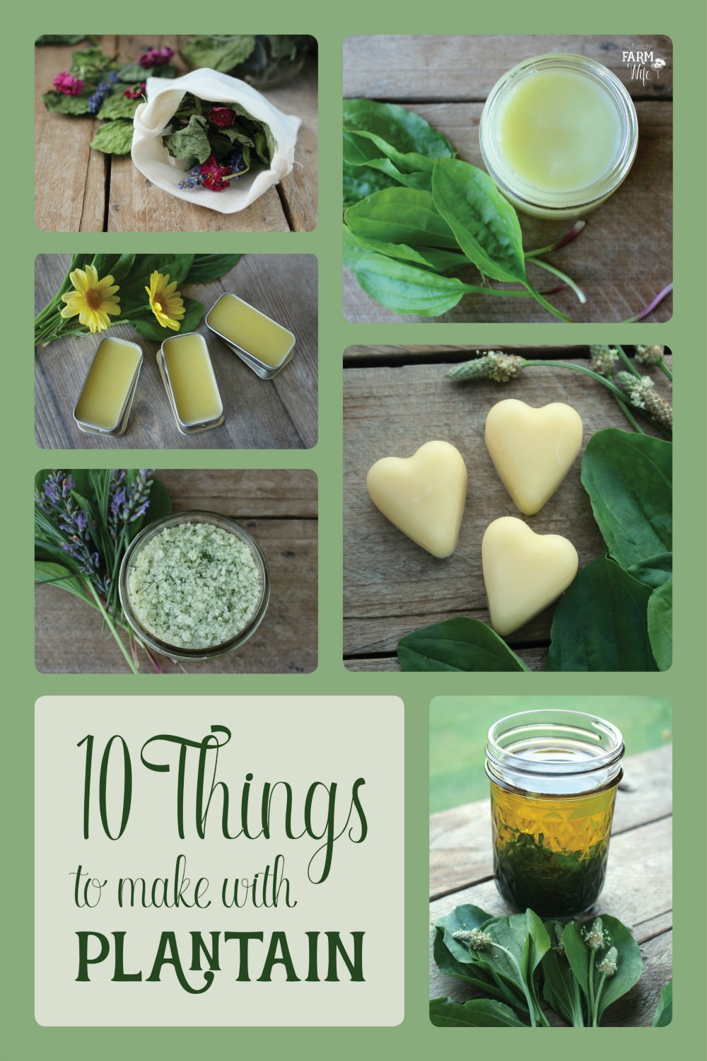 collage of various plantain projects with text "10 Things to Make with Plantain"