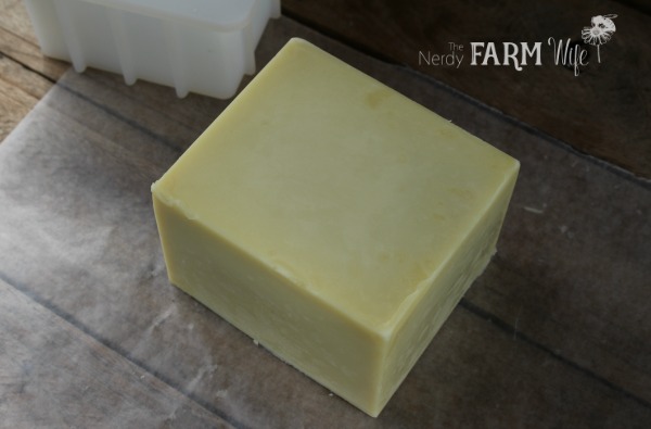 simple organic soap freshly turned out of its mold