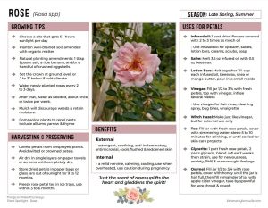 12+ Things to Make With Roses (+Printable!)