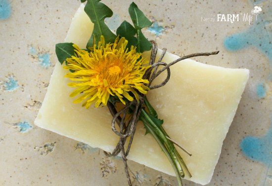 bar of dandelion soap with a piece of twine wrapped around the middle and fresh dandelion leaves and a dandelion flower for decoration