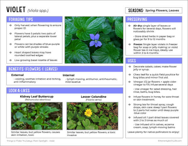 thumbnail of a printable sheet about using violets